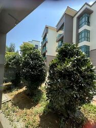 Palmwoods (D16), Condominium #555606151